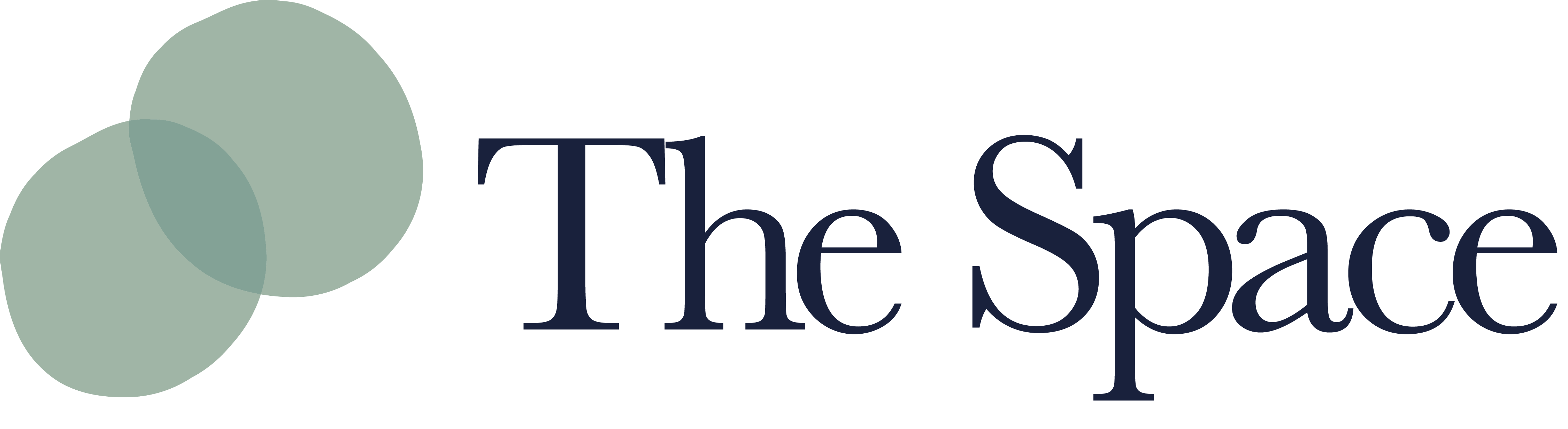 The Space